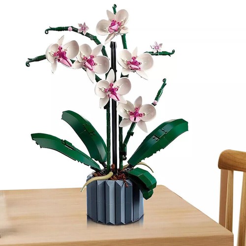 Bausatz mit blumen - blumen, home