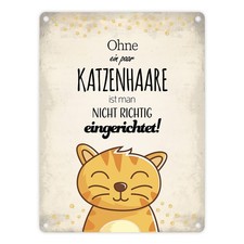 Metallschild mit Spruch: Ohne ein paar Katzenhaare ist ... Blechschild Schild