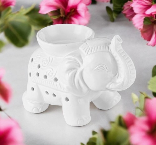 Tandor weißer elefant - tandor,