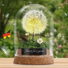 Wunscherfüller Echte