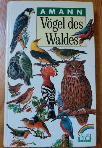 Gel des waldes - vögel, | 