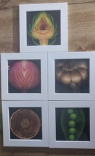 Bilder ikea 20x20 - bilder,
