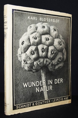 Blossfeldt karl wunder - wunder, in
