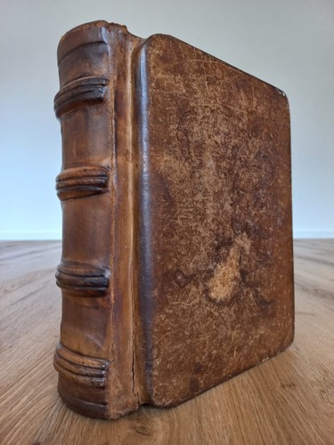 Arte medici buchbox 28 cm - arte,