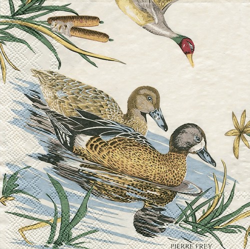Sologne pierre frey enten - sologne,
