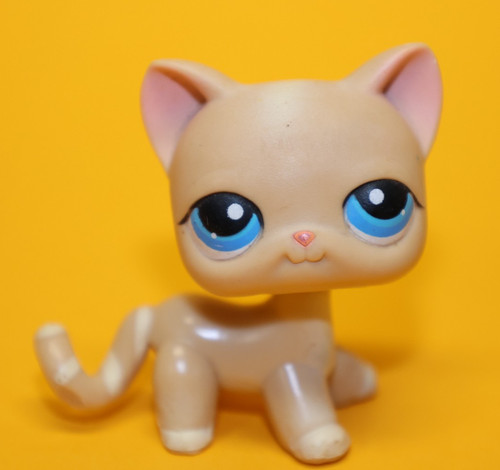 Hasbro littlest pet - hasbro,