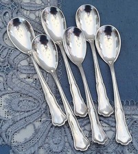 6 Traumhafte versilberte