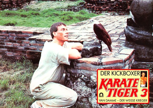 Karate tiger der kickboxer - karate,