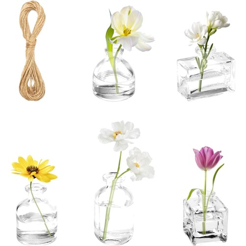 Kleine vasen glas set - vasen,