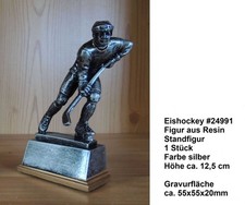 10 Eishockey Figuren aus Resin