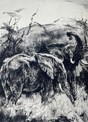 Kurt meyer eberhardt - kurt, •