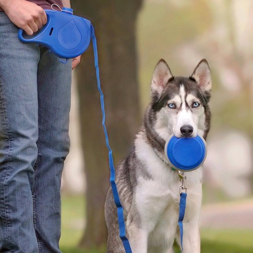 Hundeflaschenleine kombi - hundeflaschenleine,