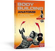 Bodybuilding Anatomie: Der