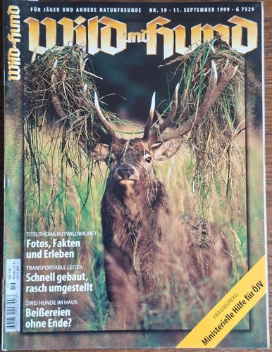 Wild und hund - und,
