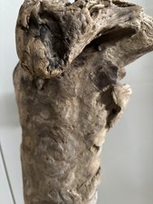 Treibholz/ Treibgut/ Skulptur/Wurzel/Baumteil/Ast