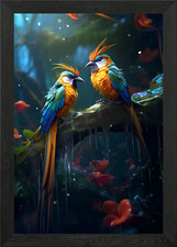 Rainy Birds of Paradise