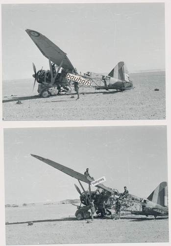 Repro foto dak - repro,