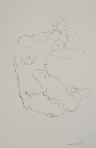 Henri matisse akt - akt, in