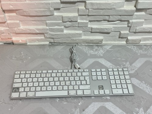 Apple magic keyboard a1243 usb - magic,