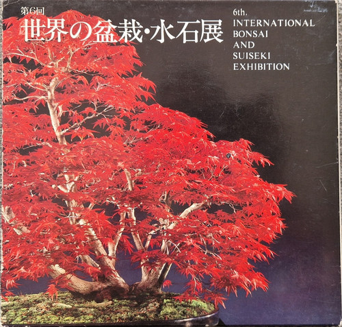 Bonsai international - -,