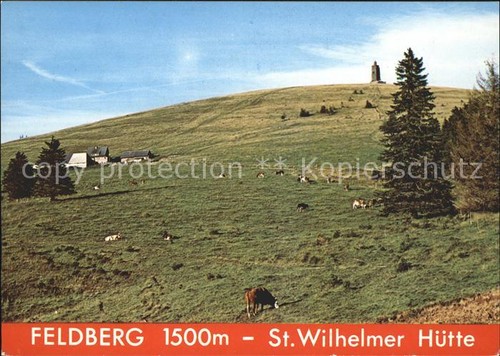 Feldberg schwarzwald - schwarzwald, st