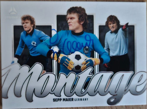 2026 panini luminance germany - panini,