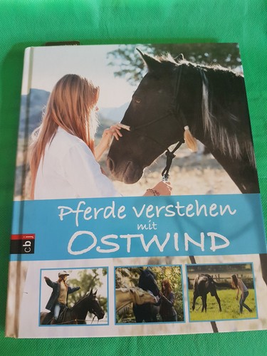 Pferde verstehen mit ostwind - verstehen,