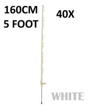 40 x 5 Fuß (160 cm)