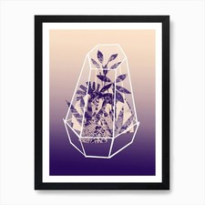 Terrarium Pflanzen Collage