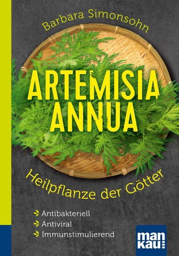 Artemisia annua heilpflanze - artemisia,