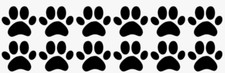 Pfoten Cat Dog Hundepfoten
