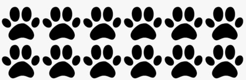 Pfoten cat dog - cat,