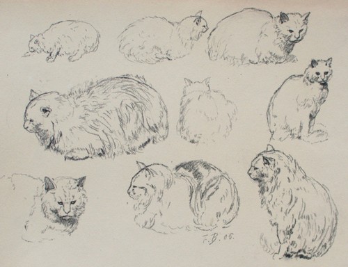 Fritz berger zeichnung katze - berger,