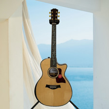 41" Nature PS14 Acoustic