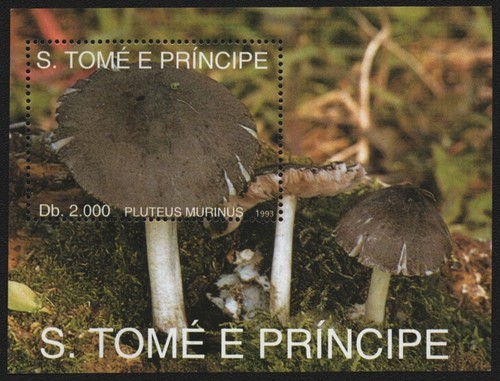 São tomé príncipe 1993 - 1993,