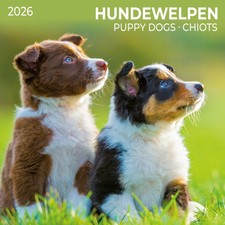 Hundewelpen/Puppy Dogs 2026 Kalender 2026 Kalender Artwork Edition 28 S. 2026