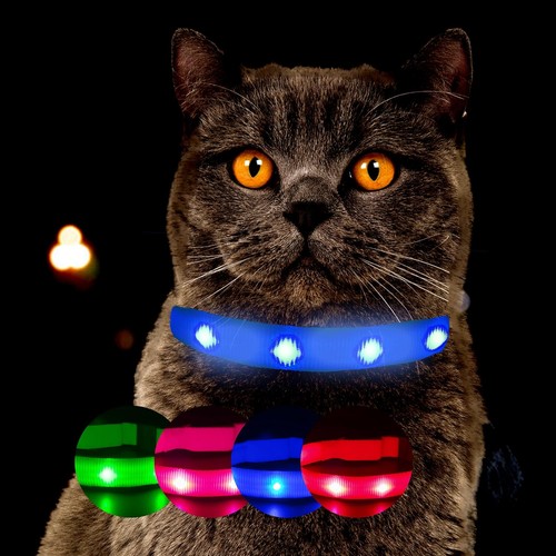 Petsation leuchtendes - petsation,