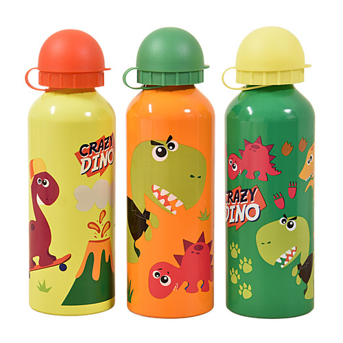 Alu trinkflasche 500 crazy - ml,