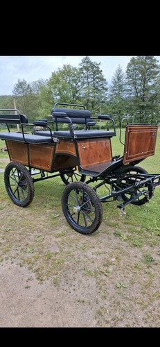Pferde kutsche wagonette - pferde,