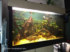 Großes Aquarium komplett + Filteranlage