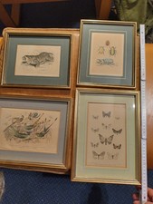 Originaldrucke Britisches Museum, um 1850, Warwick Leadly Gallery, Greenwich