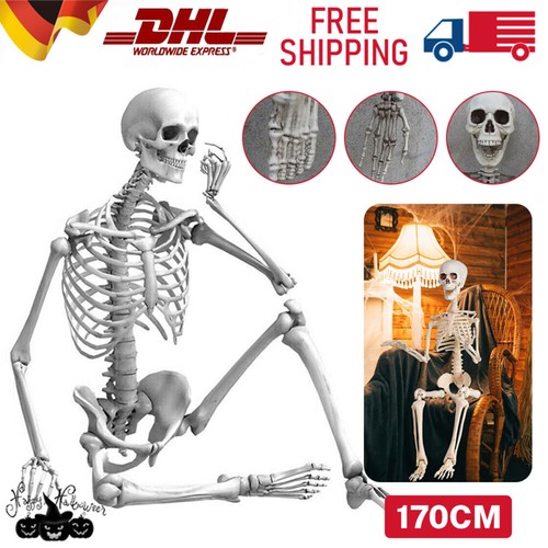 170cm skelett halloween - 170cm,