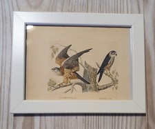 1852 Lithographie Kunstdruck