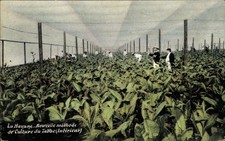 CPA La Havane Cuba, Nouvelle