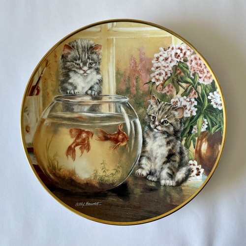 Lesley hammett limited - lesley,