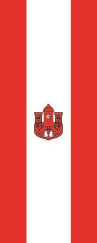 Fahne flagge borken - fahne,
