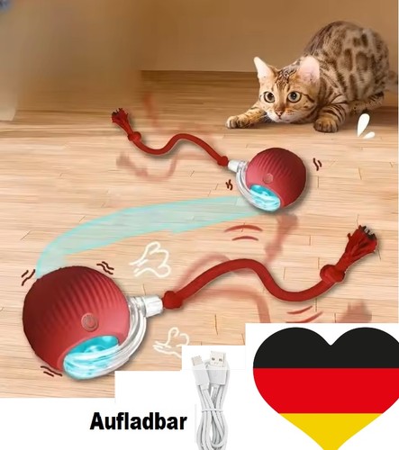 Interaktives katzenball - interaktives,
