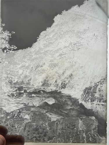 Antike echtfoto negativplatte - antike,