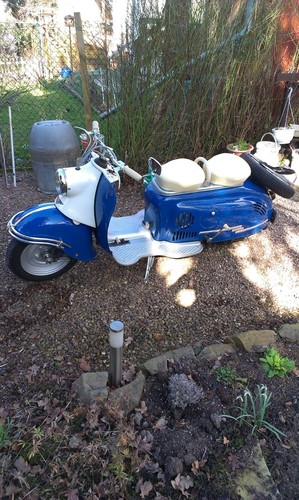 Berliner roller - berliner,