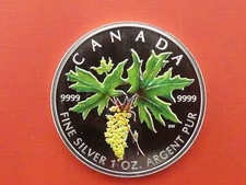 Kanada, 5 Dollars, Maple Leaf, 2005, 1 OZ Silber, original, farbig